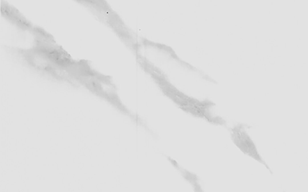 NE31 Mat white marble