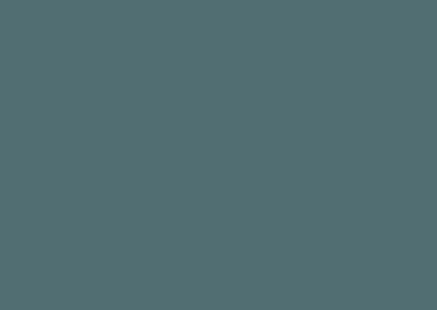 NF06